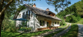 Гостиница Apartments Zakrasnik  Шкофья Лока